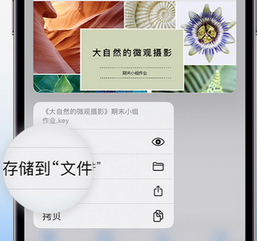 祁县apple维修中心分享iPhone文件应用中存储和找到下载文件