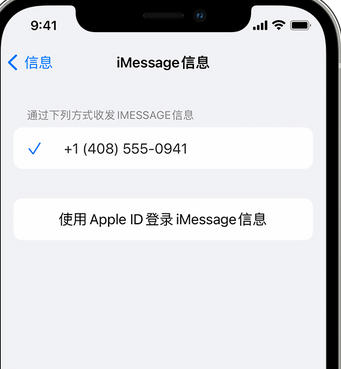 祁县apple维修iPhone上无法正常发送iMessage信息 