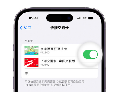 祁县apple维修点分享iPhone上更换Apple Pay快捷交通卡手绘卡面 