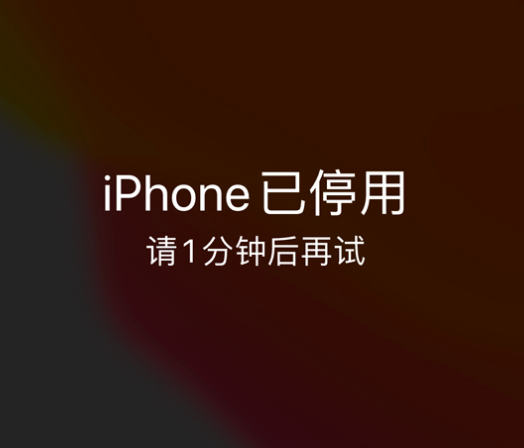 祁县苹果手机维修分享:iPhone 显示“不可用”或“已停用”怎么办？还能保留数据吗？ 