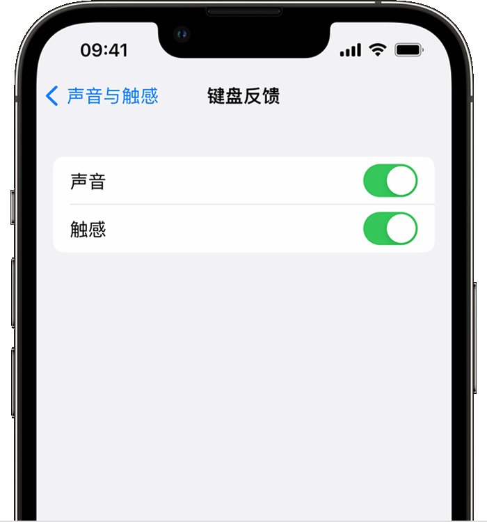 祁县苹果14维修店分享如何在 iPhone 14 机型中使用触感键盘 