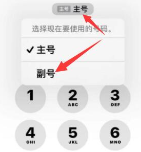 祁县苹果14维修店分享iPhone 14 Pro Max使用副卡打电话的方法 