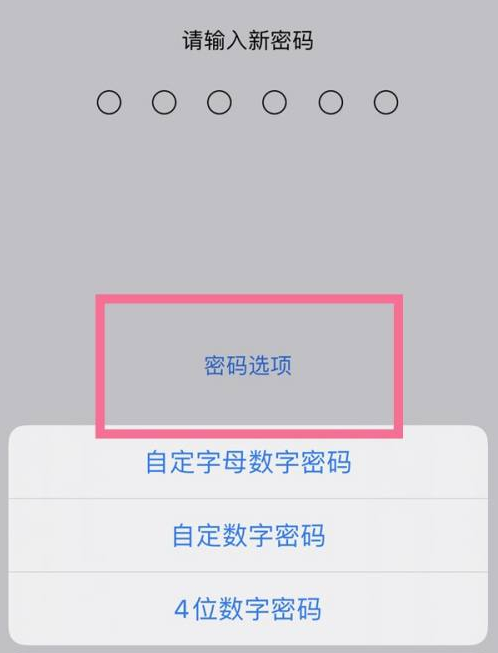 祁县苹果14维修分享iPhone 14plus设置密码的方法 