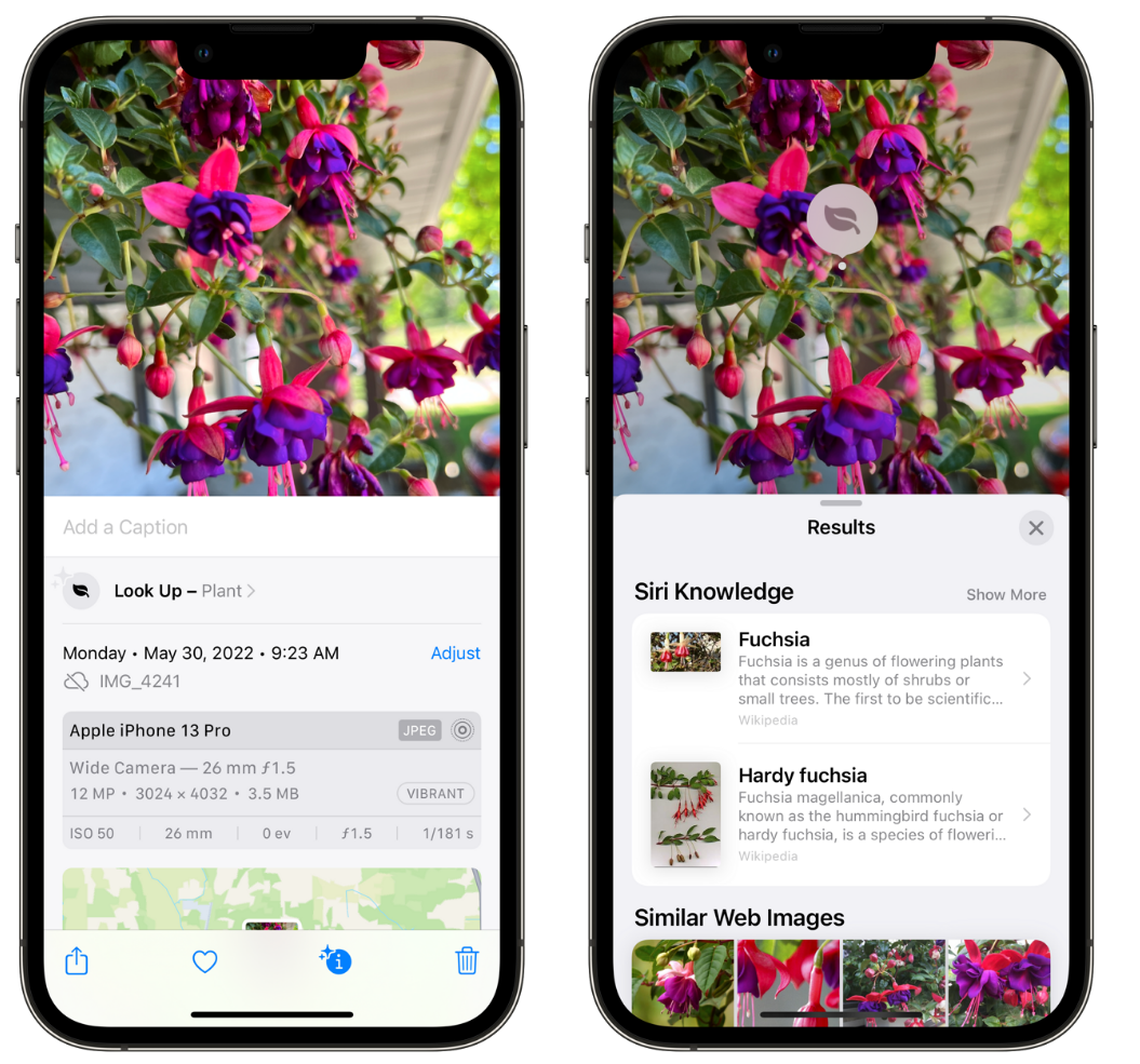 祁县苹果手机维修分享小技巧：使用 iPhone 相机识别花卉植物 